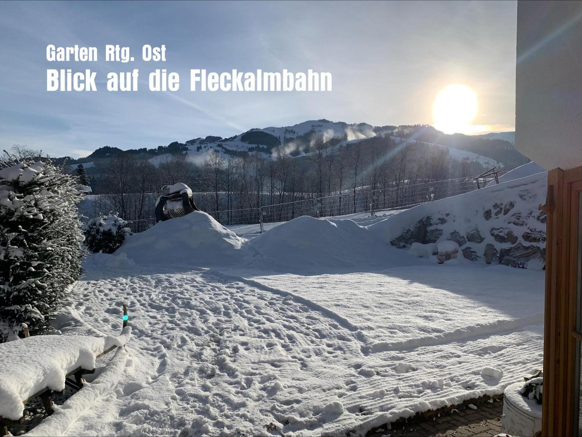 Willms Am Gaisberg