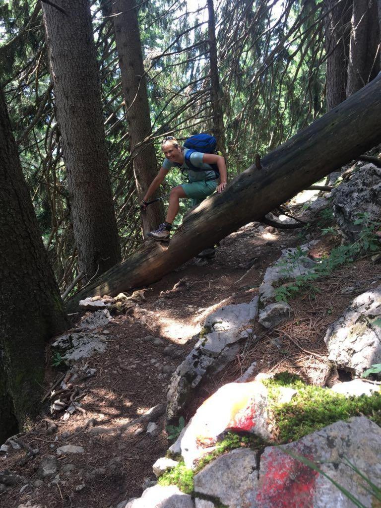 Willms Am Gaisberg Appartamento Kirchberg in Tirol