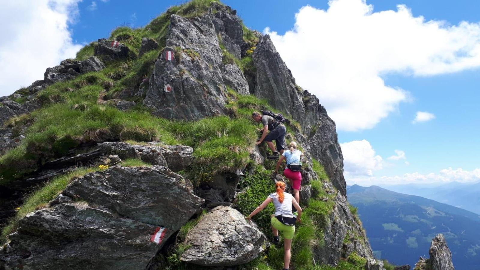 Willms Am Gaisberg Appartamento