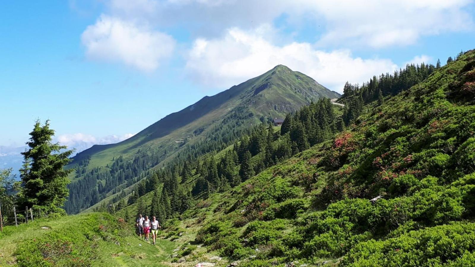 Willms Am Gaisberg