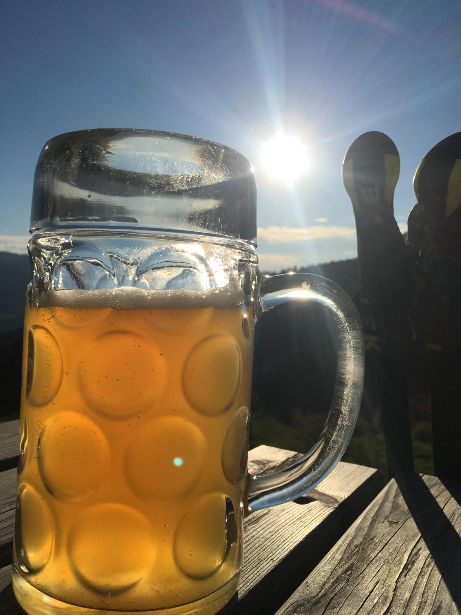 Willms Am Gaisberg *